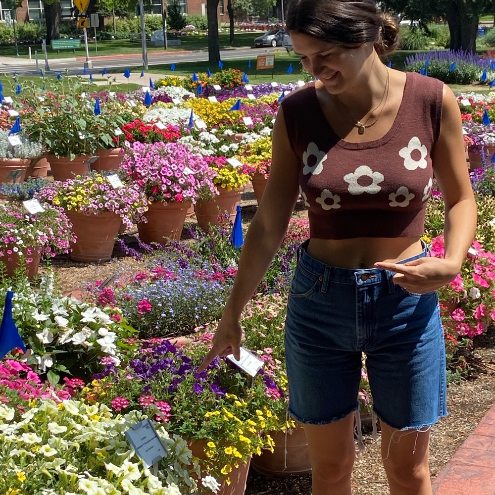 Wrangler Denim Shorts